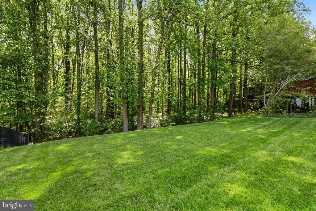 Photo of 10891 BEECH CREEK DRIVE