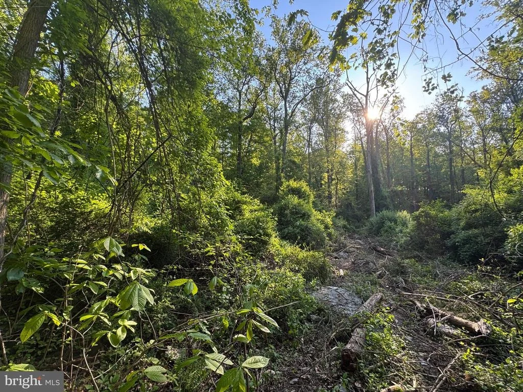 Photo of EDGEMONT ROAD