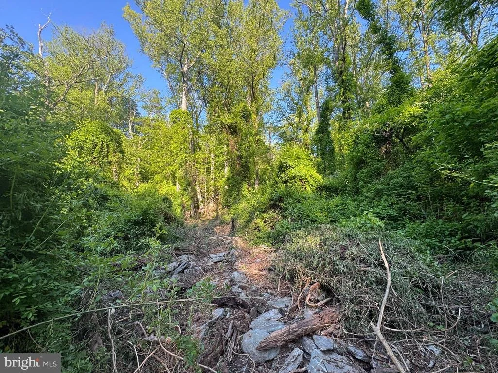 Photo of EDGEMONT ROAD
