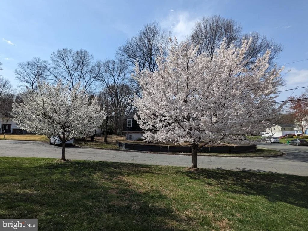 Photo of 16011 JERALD ROAD