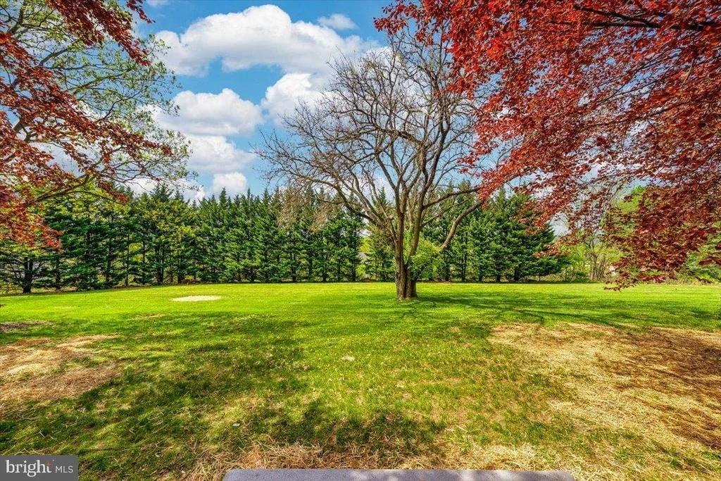 Photo of 54 RIDGE ROAD