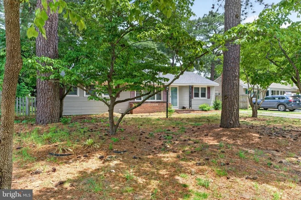 Photo of 509 LOBLOLLY LANE