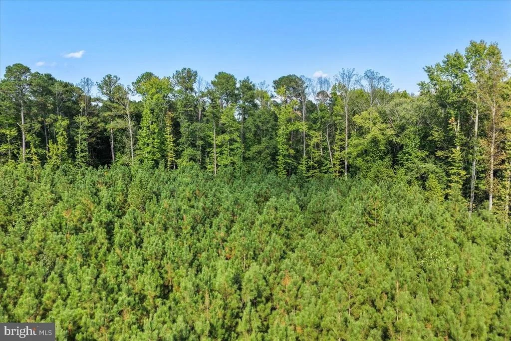Photo of Lot 7 & 8 COUNTY POND ROAD