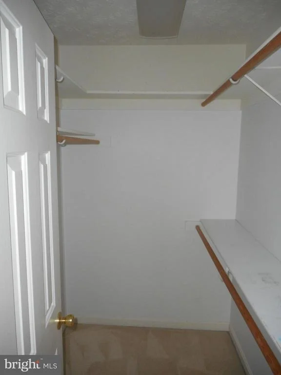Photo of 11535 HONEYSUCKLE COURT