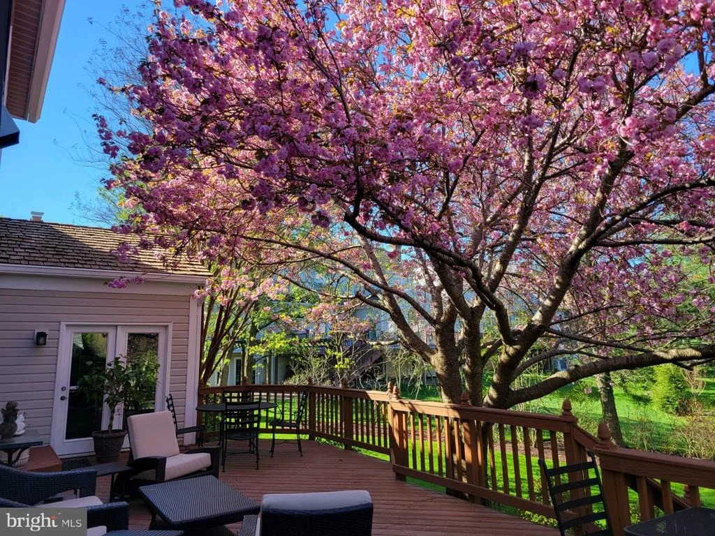 Photo of 17702 GLOBE THEATRE DRIVE