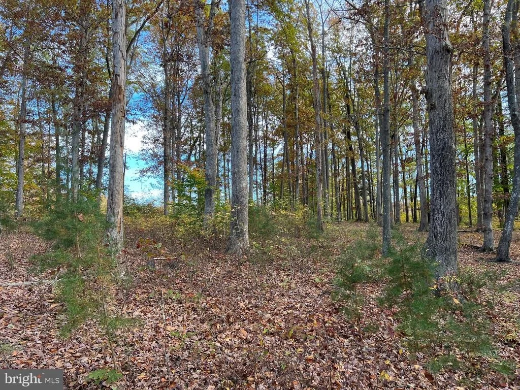 Photo of LOT 9 RAINBOW RIDGE