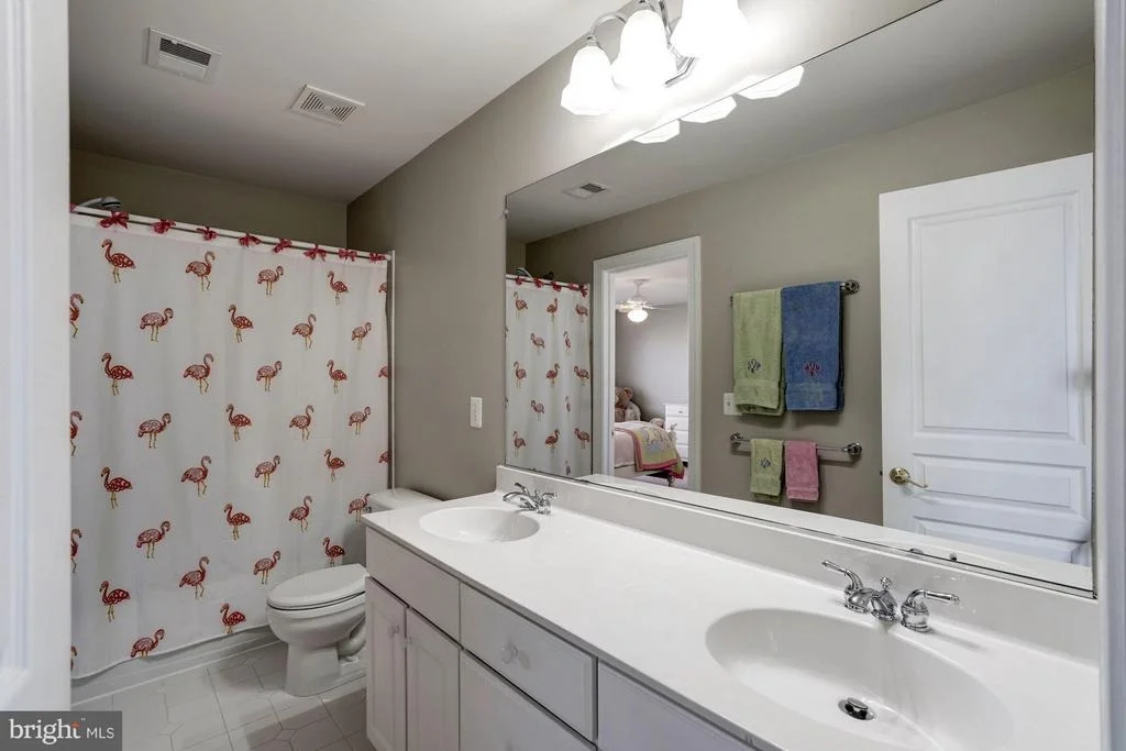 Photo of 21107 MILL BRANCH DRIVE