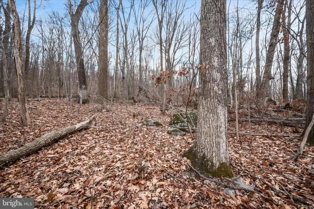 Photo of Lots 115, 116, 210 RED MAPLE LANE