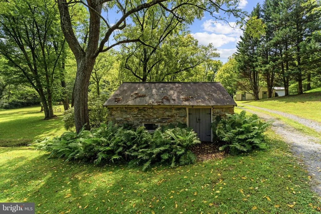 Photo of 39902 THOMAS MILL ROAD