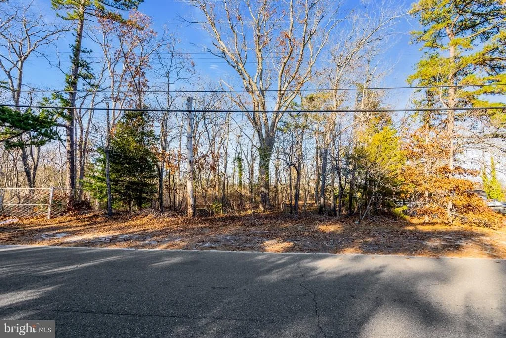 Photo of 3 DOCK AVENUE