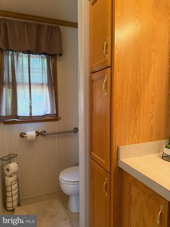 Photo of 21 BLUEBIRD LN
