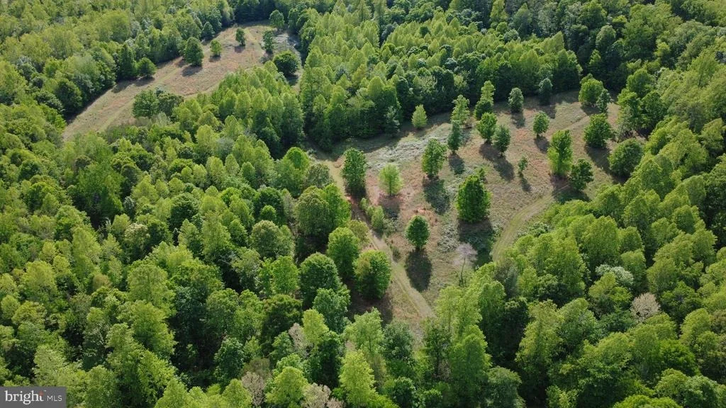 Photo of 1225 MIDDLE RIVER ROAD
