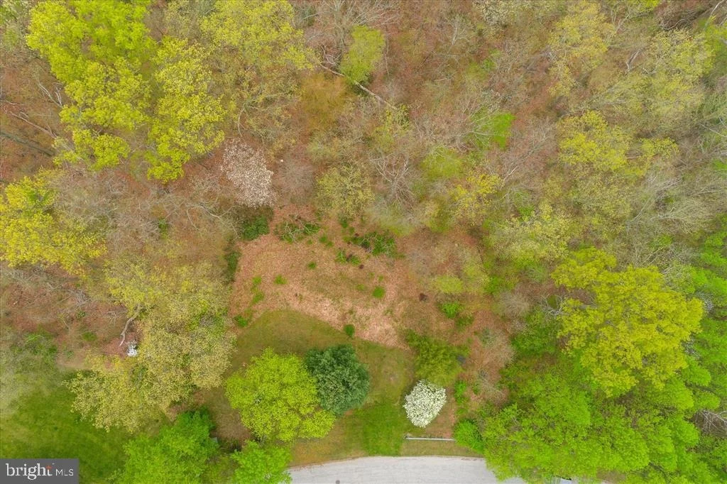 Photo of 13036 JEROME JAY DRIVE