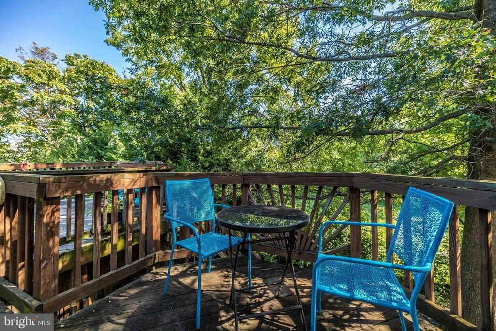 Photo of 1001 CHINABERRY DRIVE