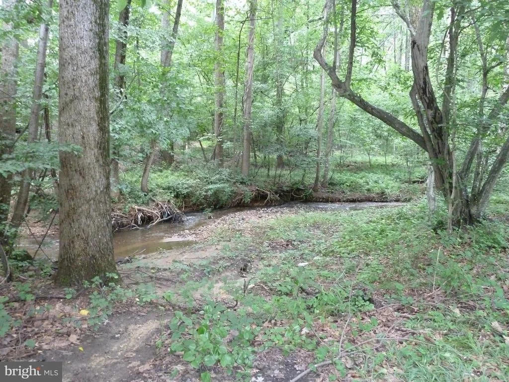 Photo of 3404 OLIVE BRANCH DRIVE