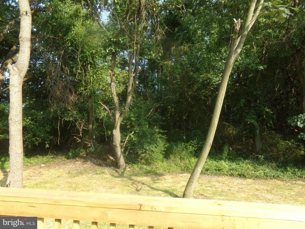 Photo of 11035 BOTTOM RD