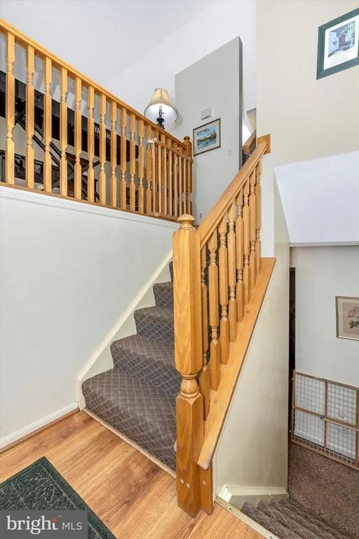 Photo of 1001 CHINABERRY DRIVE