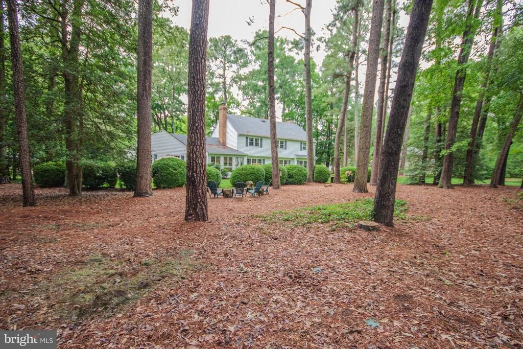Photo of 29745 JACKSON ROAD