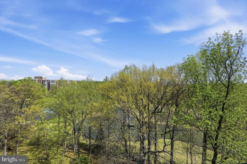 Photo of Unit 21006 at 15107 INTERLACHEN DRIVE
