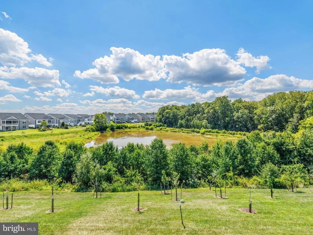 Photo of 3067 SPRING PEEPER COURT