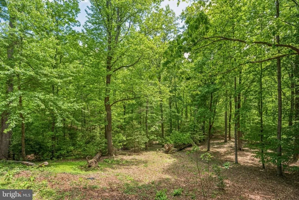 Photo of 11425 MILL BRIDGE ROAD