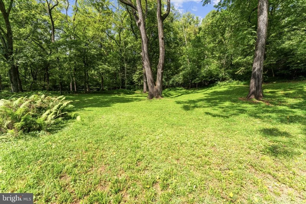 Photo of 39902 THOMAS MILL ROAD