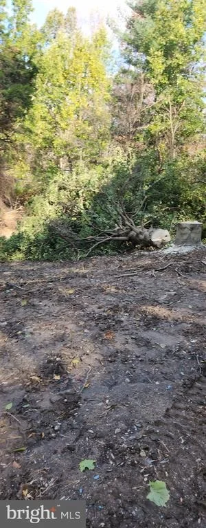 Photo of 5151 OLD BARTHOLOWS ROAD