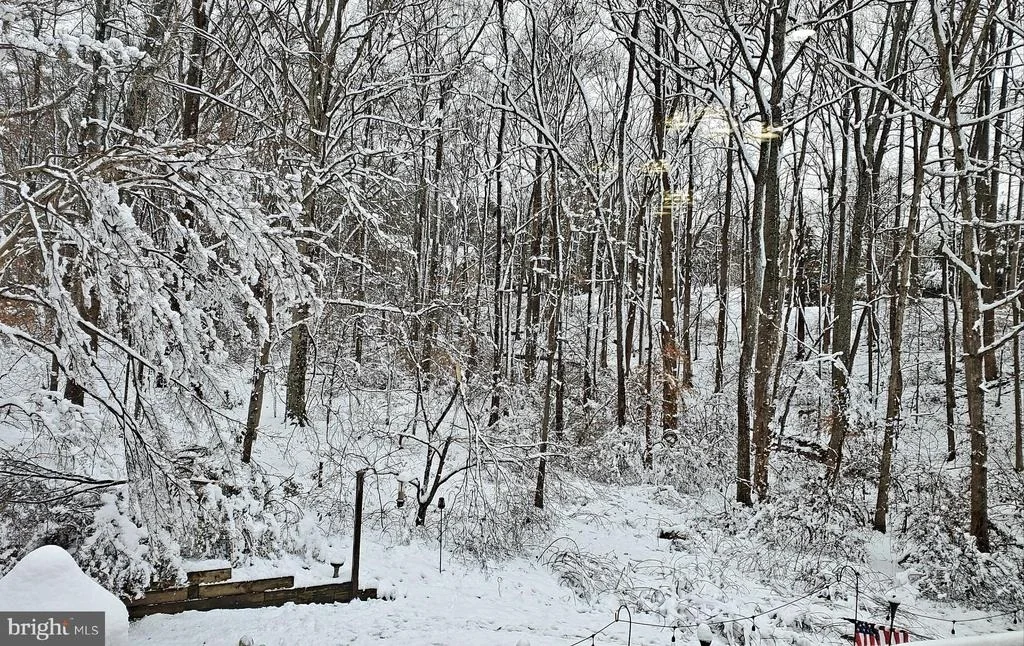 Photo of 10701 MILLER ROAD
