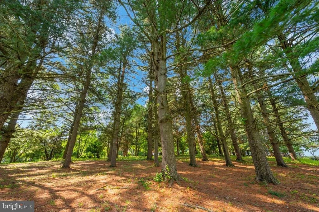 Photo of 460 SHADE TREE LANE
