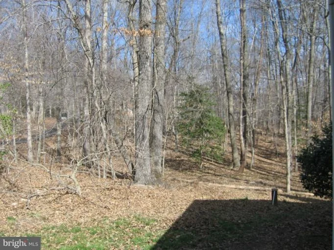 Photo of 11968 BEAVER MILL LANE