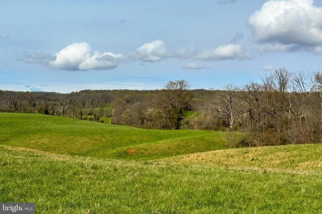 Photo of 40104 MOUNT GILEAD ROAD