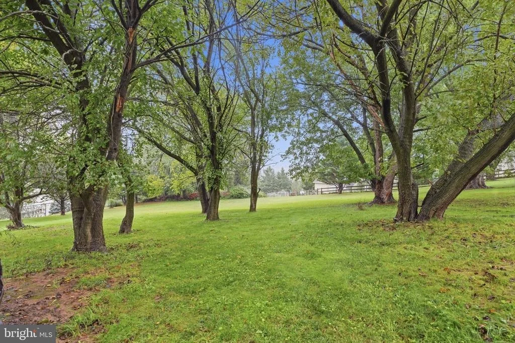 Photo of 6650 WIND RIDGE ROAD