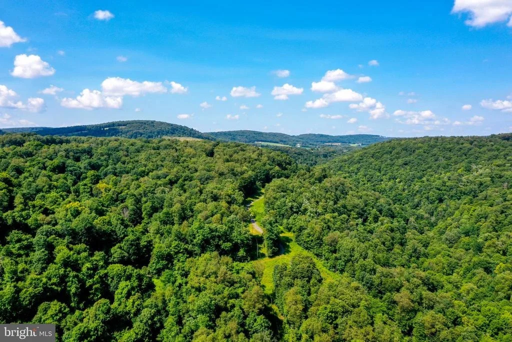 Photo of 4838 BEAR CREEK ROAD