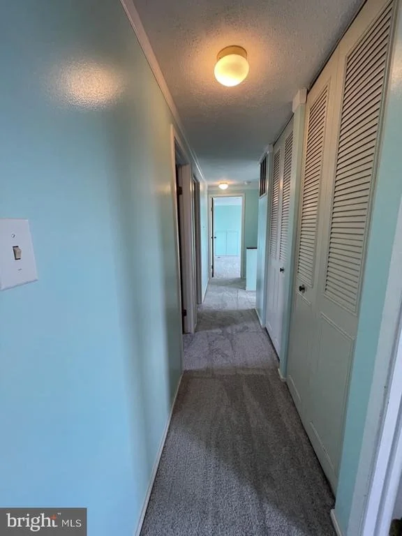 Photo of 1341 BUTTERFLY LANE