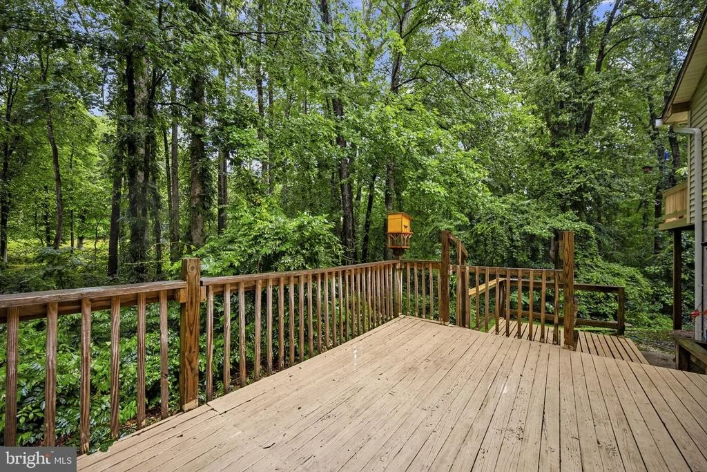 Photo of 11039 TIMBERVIEW DRIVE