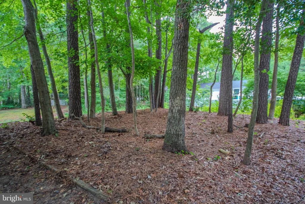 Photo of 1142 OCEAN PARKWAY