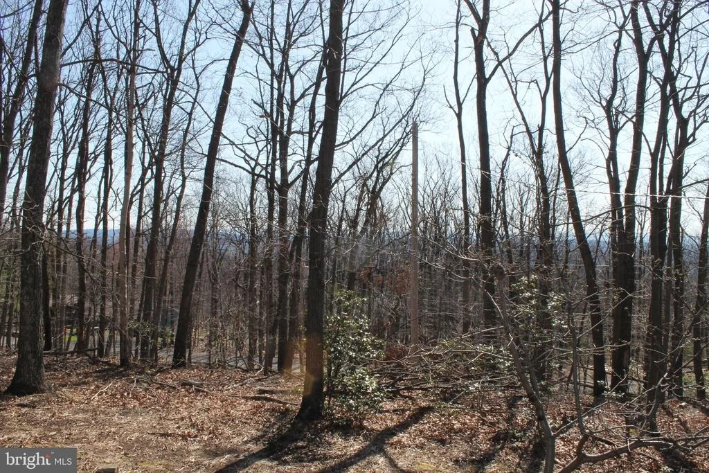 Photo of 288 FOX RUN LANE