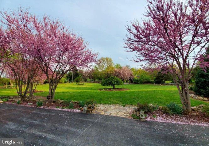 Photo of 955 STAYMAN DRIVE