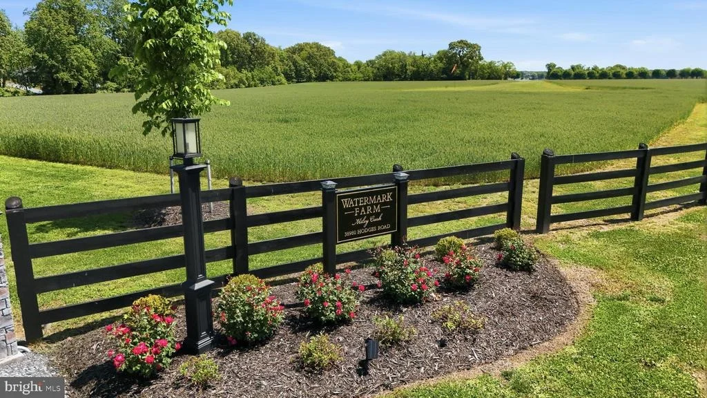 Photo of 38980 HODGES ROAD