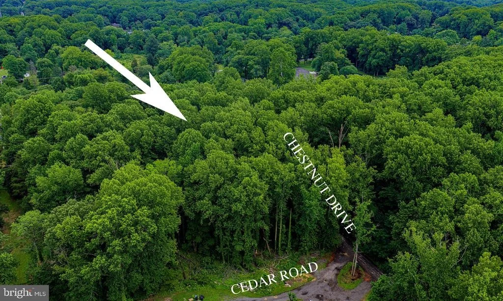 Photo of 6901 CEDAR ROAD