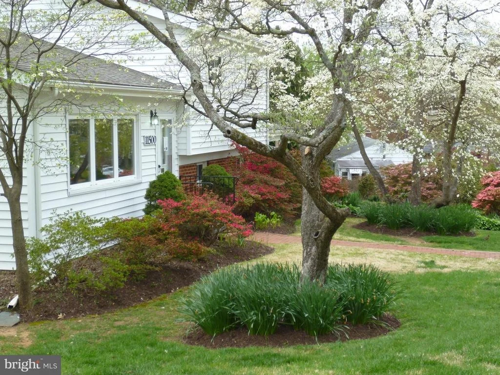 Photo of 11500 KENTON DRIVE