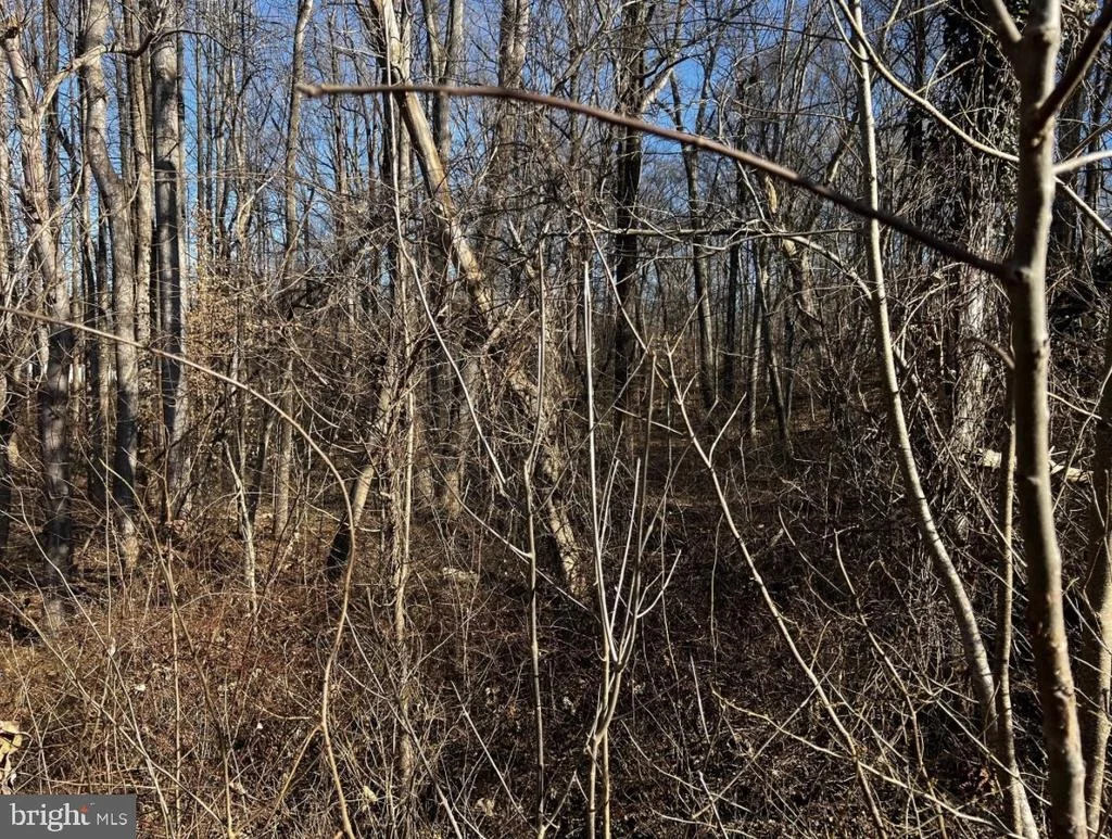 Photo of 6299 MCKENDREE ROAD