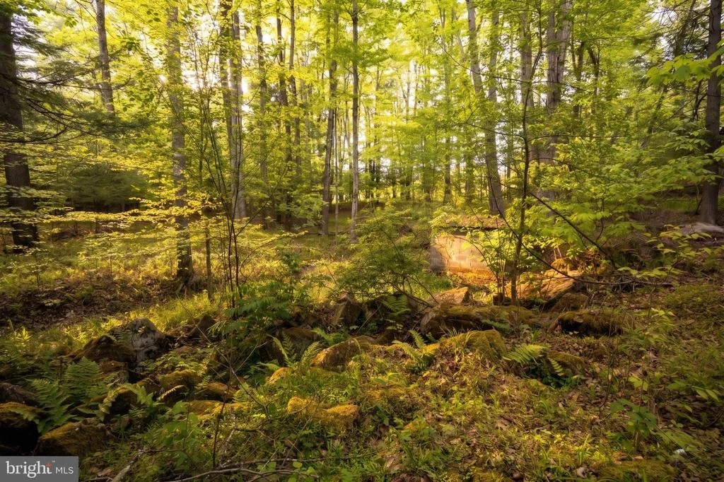 Photo of 1099 TABLE ROCK ROAD