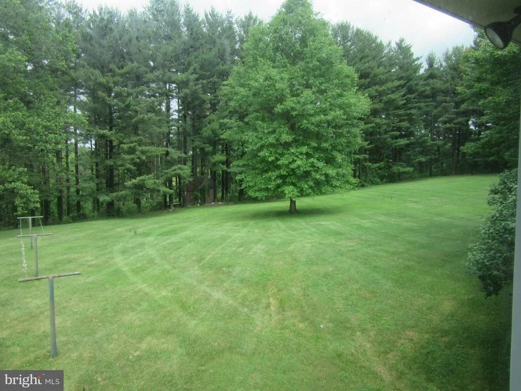 Photo of 
