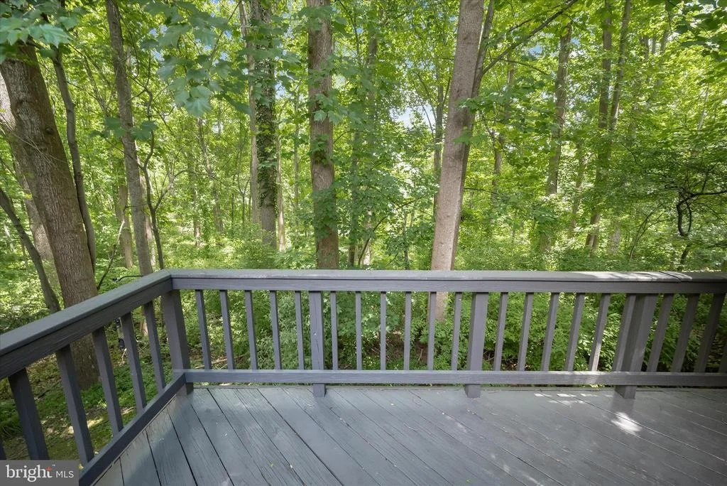 Photo of 11811 FAR EDGE PATH