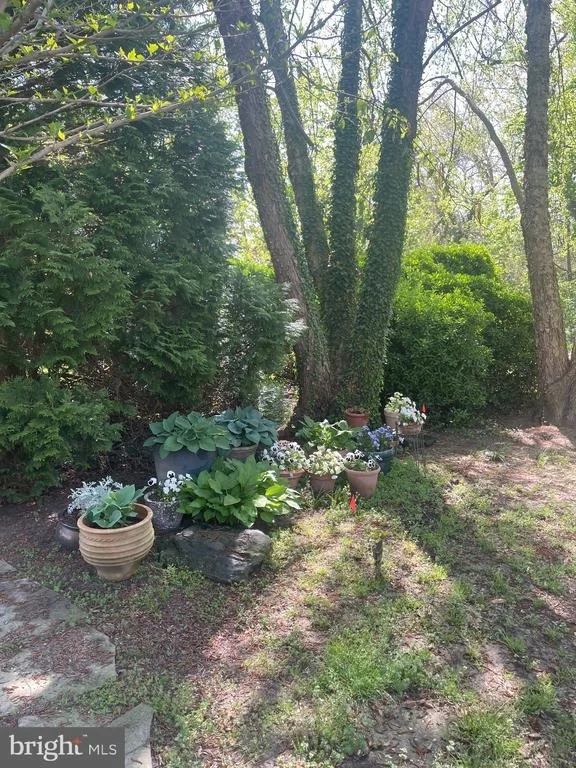 Photo of 31720 AYRES DRIVE