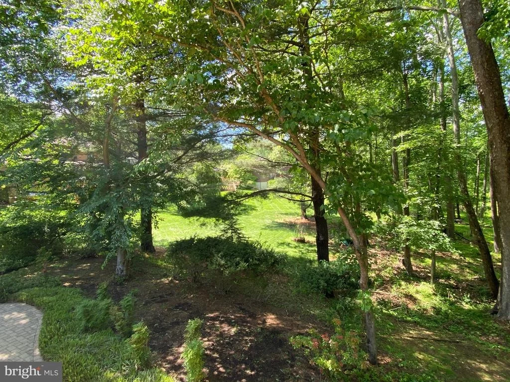 Photo of 11004 BROAD GREEN DRIVE