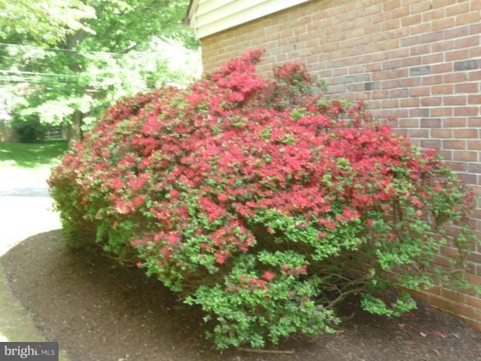 Photo of 2403 STRATTON DRIVE