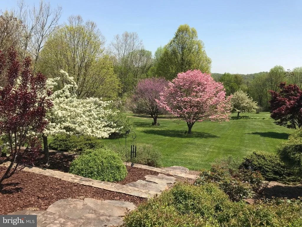 Photo of 20617 TOP RIDGE DRIVE