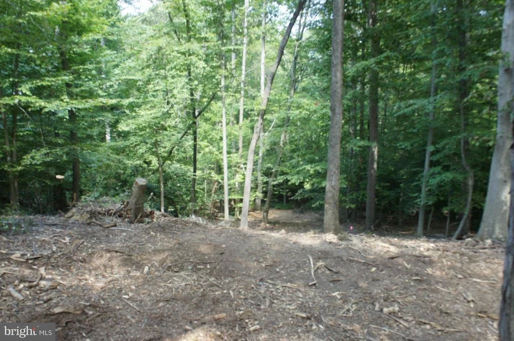 Photo of 426 COMSTOCK DRIVE